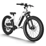HIMIWAY ZEBRA Premium All-terrain Electric Fat Bike