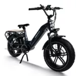 HIMIWAY BIG DOG Electric Cargo Bike
