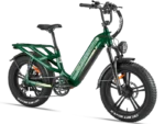 Rocky Pro A-320 (Full Suspension Step-Thru eBike)